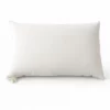 Cuscino Giove cotone biologico 1_risultato Guanciale Cuscini Bio - Giove Cotone Biologico