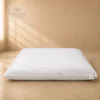 Memo care daunenstep s_risultato Guanciale Daunenstep - MemoCare