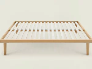 Rete Dorsal Sana MA matrimoniale