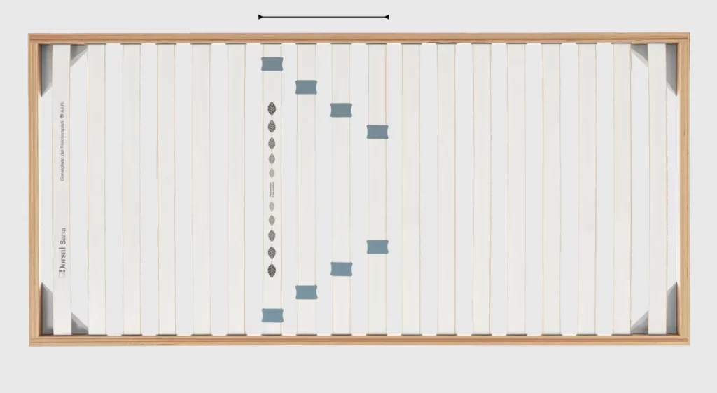 Rete Dorsal Sana NA singola