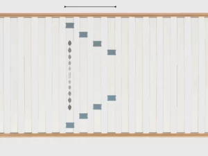 Rete Dorsal Sana NA singola