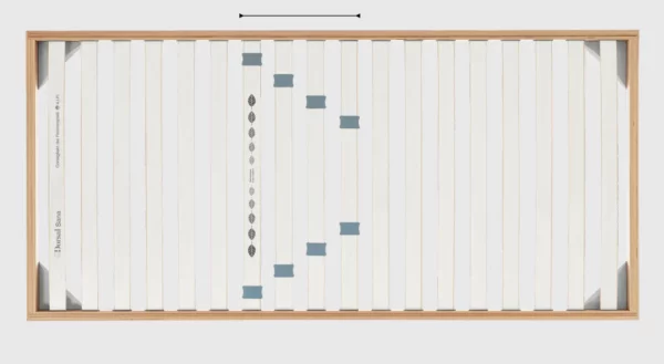 Rete Dorsal Sana NA singola