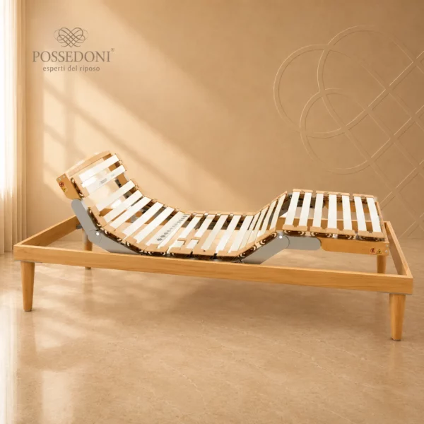 Rete Dorsal - Experience 600 RT