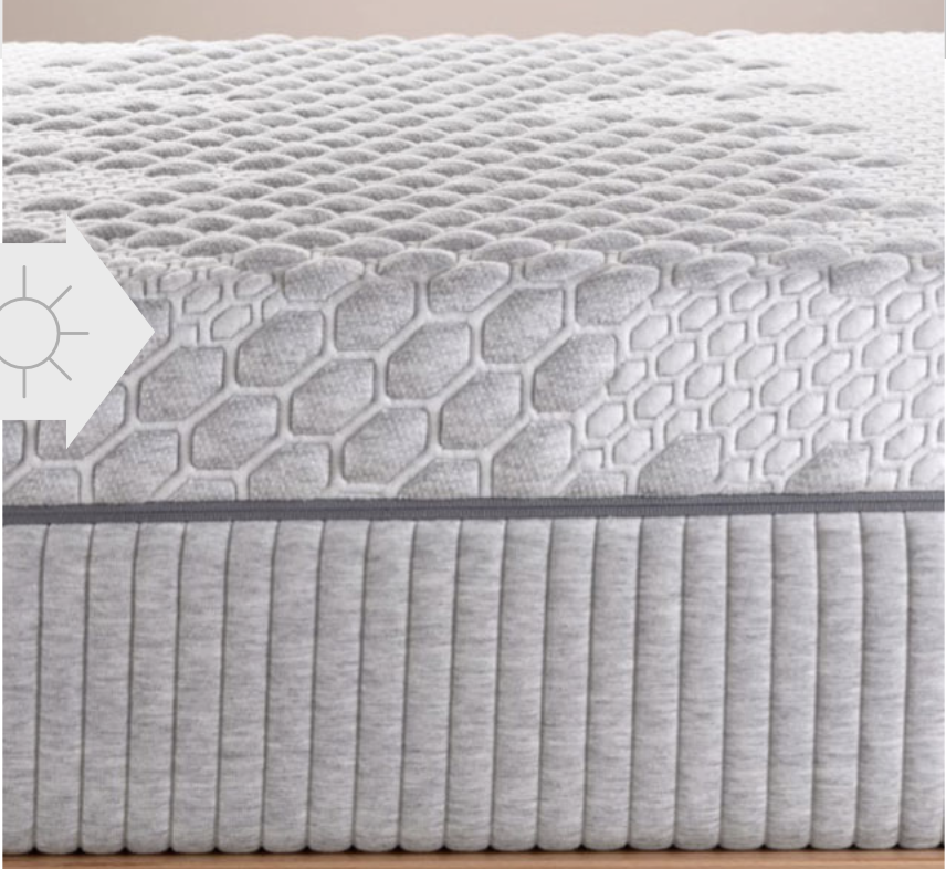 Dorsal Viscosa IM 11