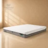 Tempur pro medium