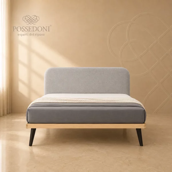 Testiera Dorsal C80