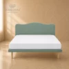 Testierra Simplicity Dorsal C05