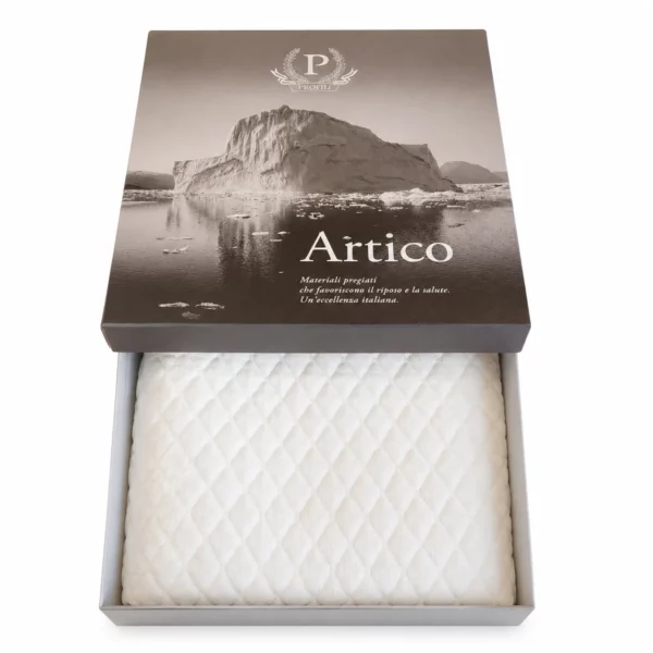 Artico Porfili
