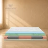Materasso Dorsal Elisir Magic Materasso Dorsal Elisir Magic