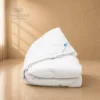 Piumiino Dunenstep s_risultato Piumini DaunenStep - Edredone La Batista
