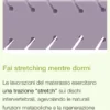 Dorsal Fitness Lavorazione stretch