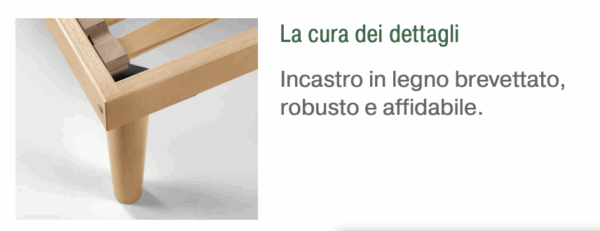 Rete Dorsal - Forest - RA