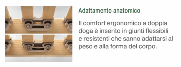 Rete Dorsal - Forest - RA