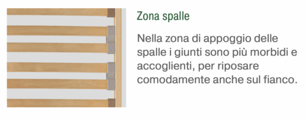 Rete Dorsal - Forest - RA