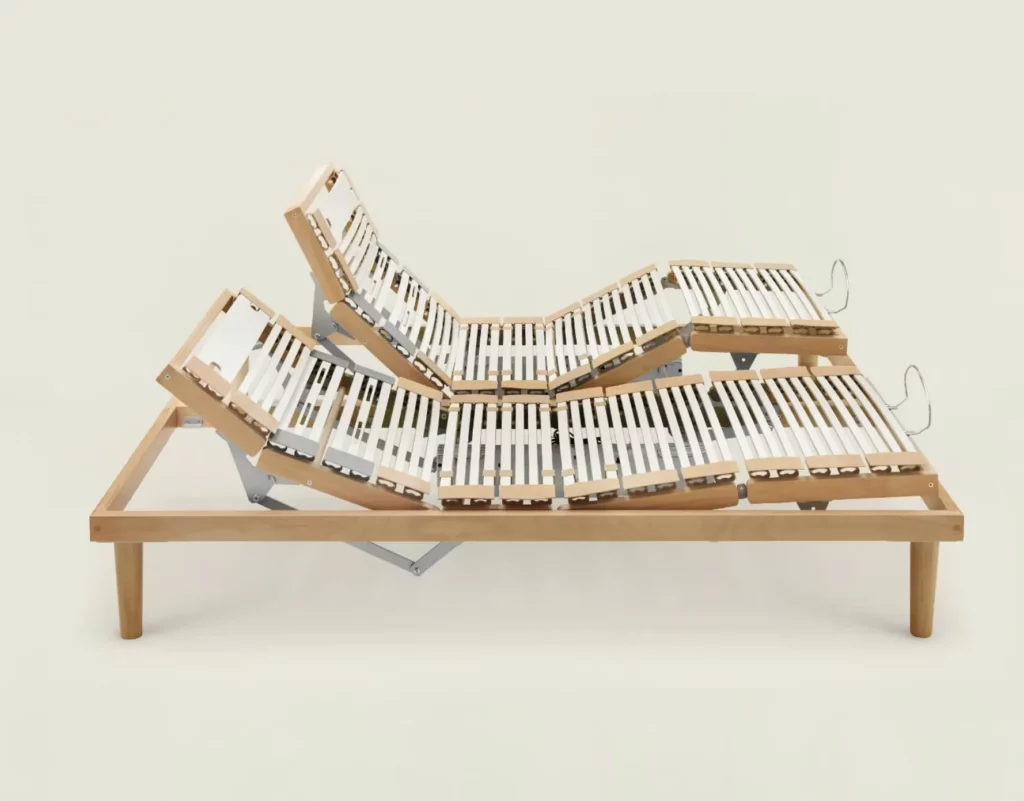 Rete Dorsal Human FRA