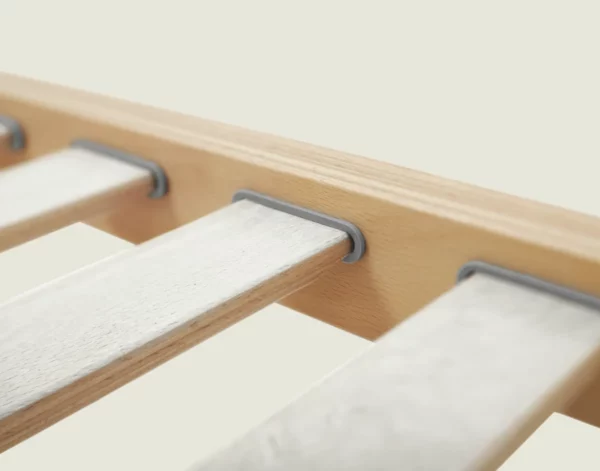 Rete Dorsal invaso doga