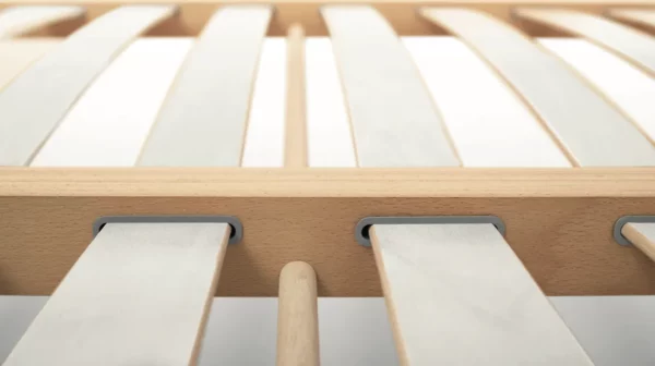 Rete dorsal Viva FA Particolare centrale