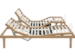 Rete SANA FRA 2 motori Dorsal